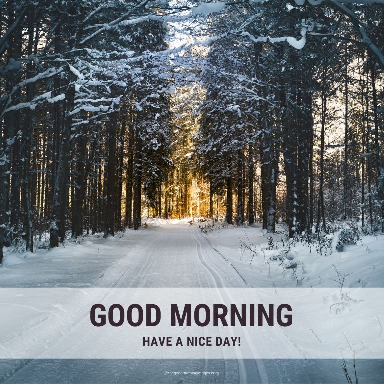 Good Morning Winter Images