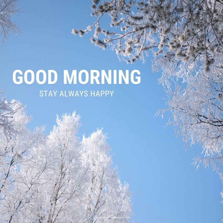 good morning winter images hd
