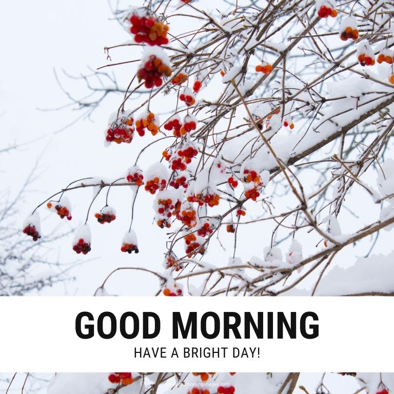 Good Morning Images for Winter