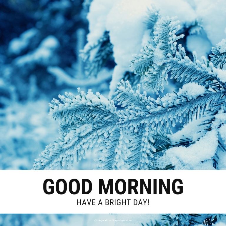 Good Morning Winter Images