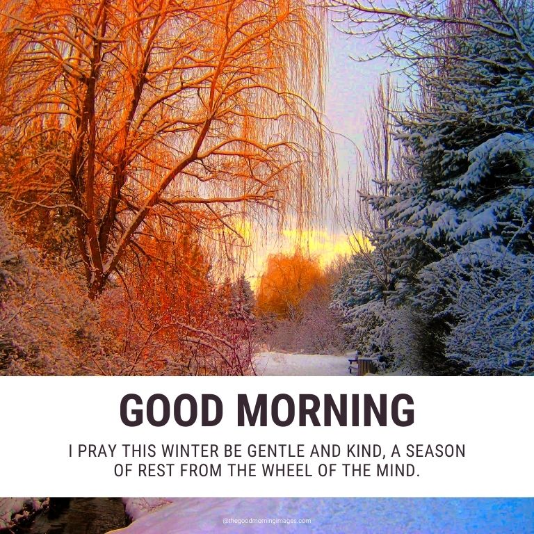 Good Morning Winter Images HD with Quotes