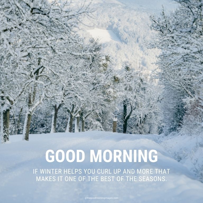 good morning winter season images