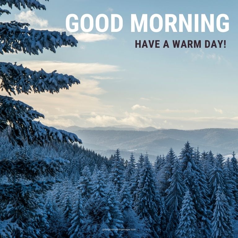 Good Morning Winter Images