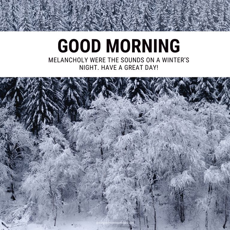 winter good morning images