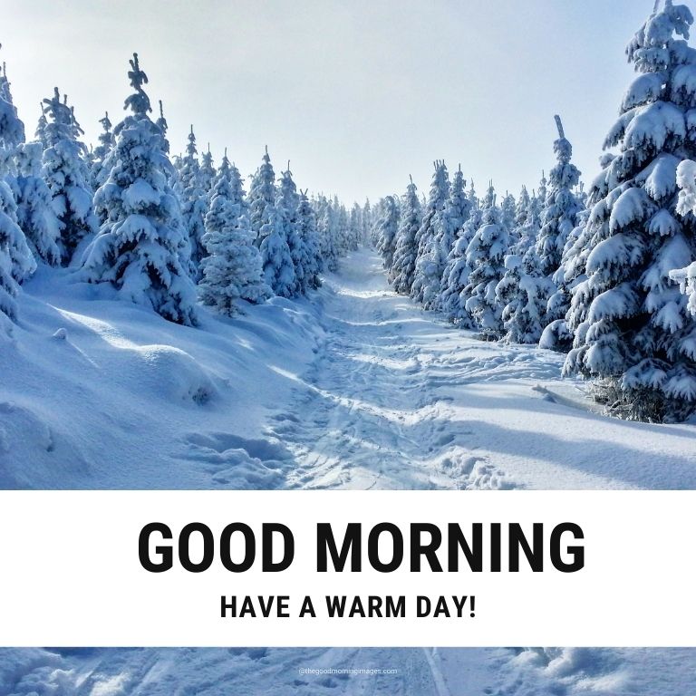 Good Morning Winter Images