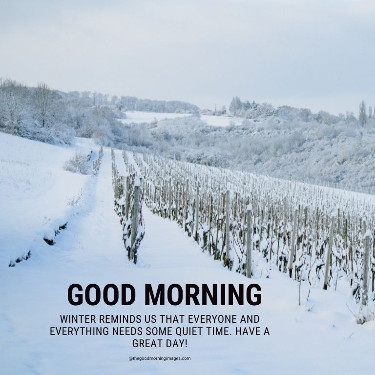 winter good morning photos