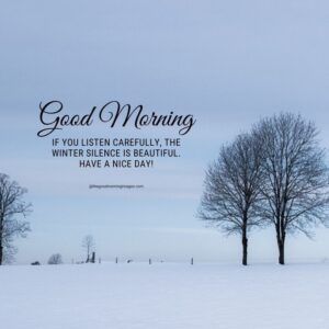 150+ New Good Morning Winter Images With Quotes