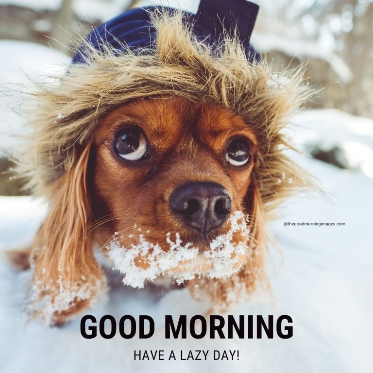 good morning funny winter images