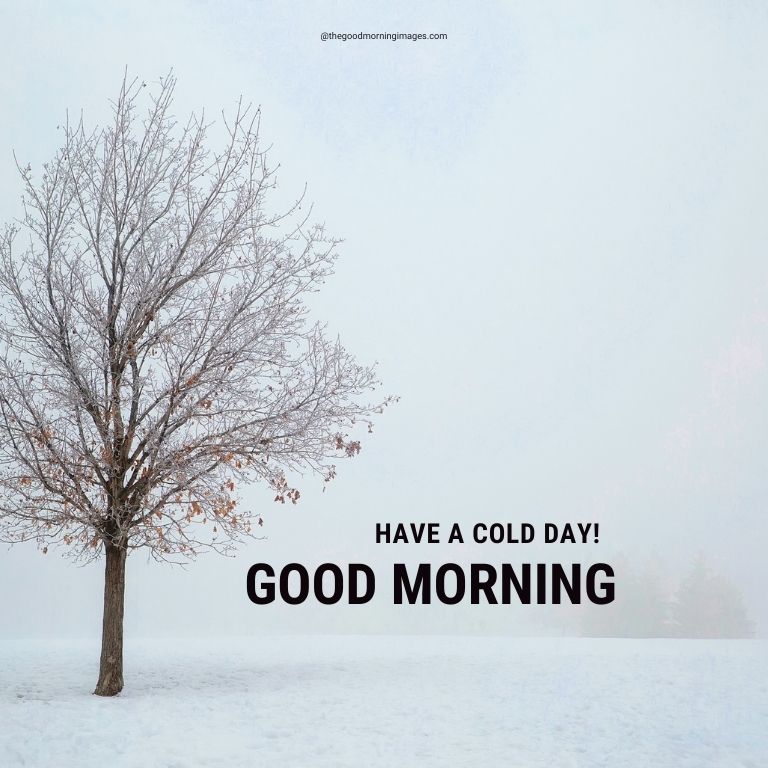 good morning winter images wishes