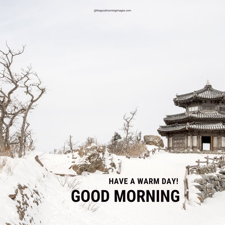 good morning winter images