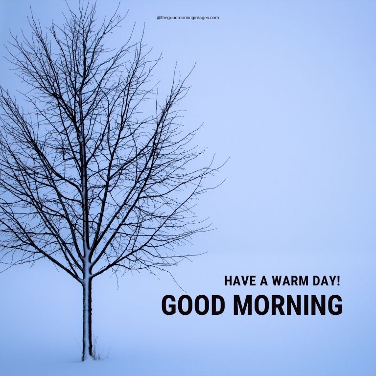 good morning winter images