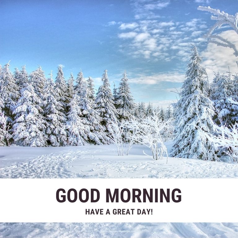 Good Morning Winter Images