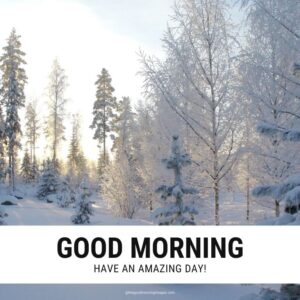 150+ New Good Morning Winter Images With Quotes