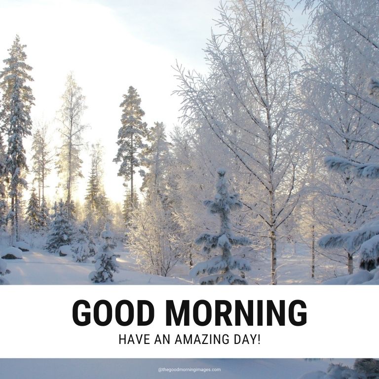 good morning winter images hd