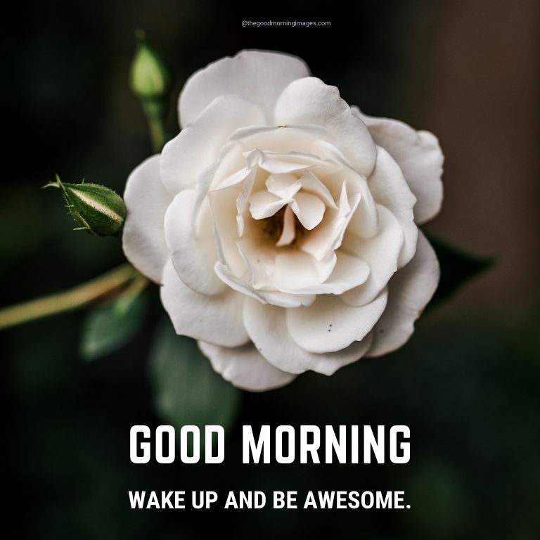 Wake up and be awesome.