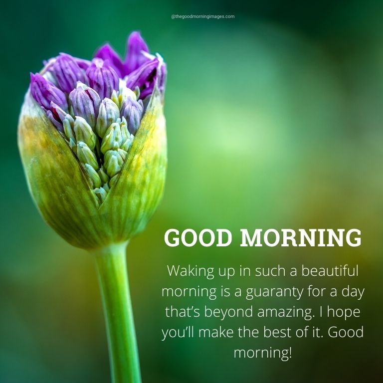 good morning images messages