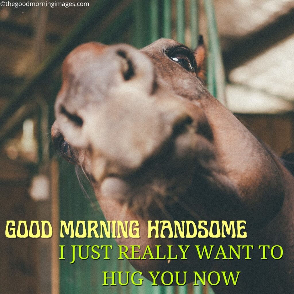 good morning handsome memes