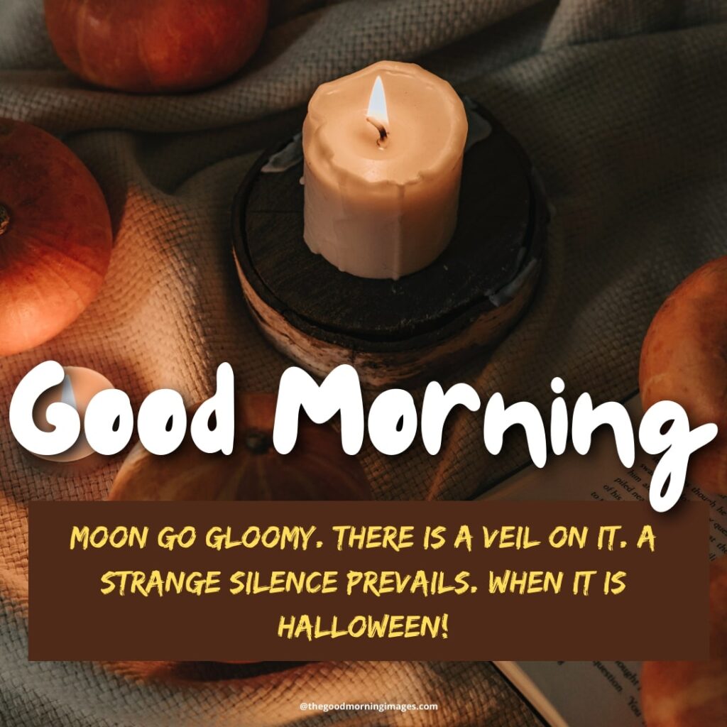 Halloween Morning images