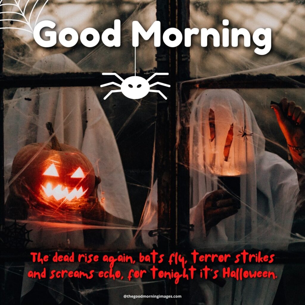 Good Morning Halloween