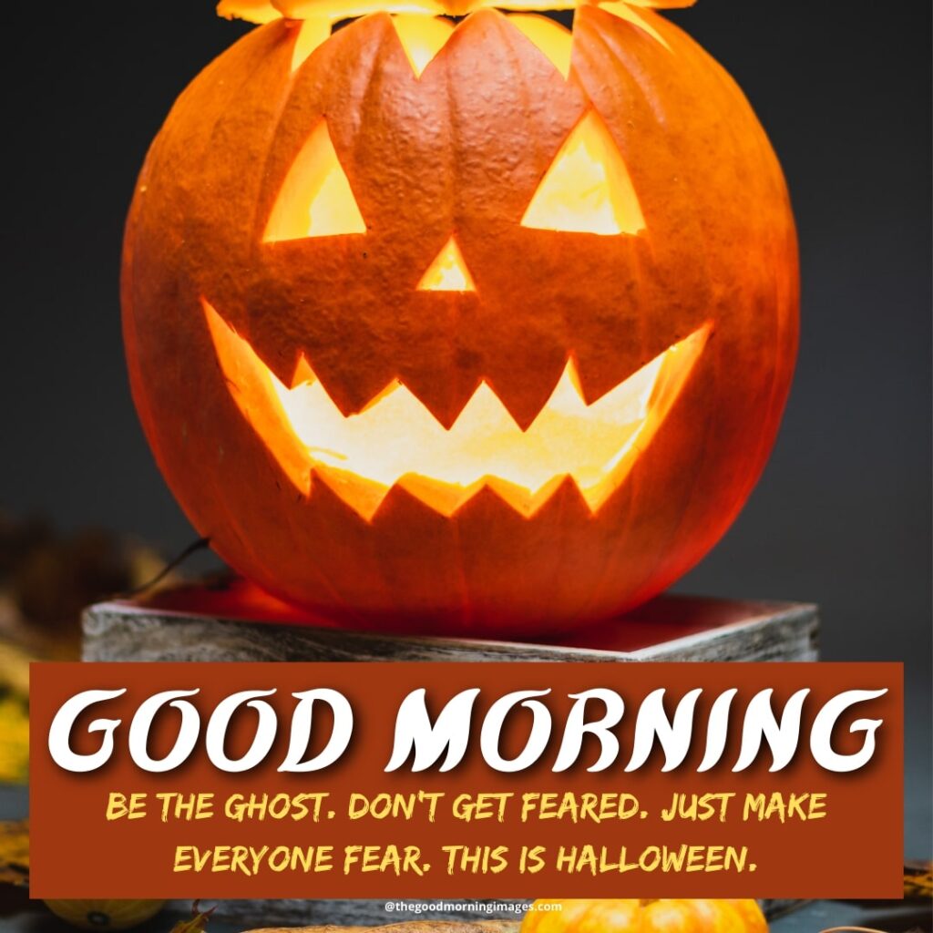 Halloween Morning images