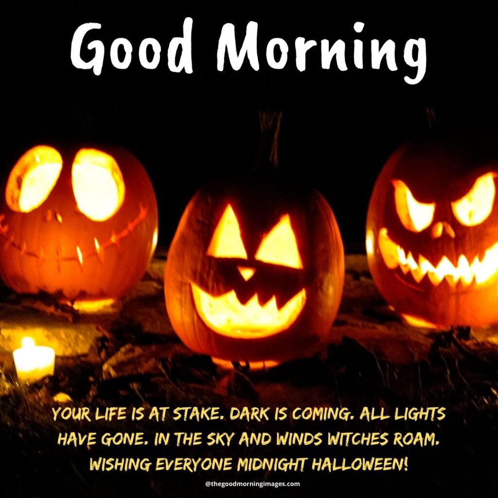 Halloween Morning images