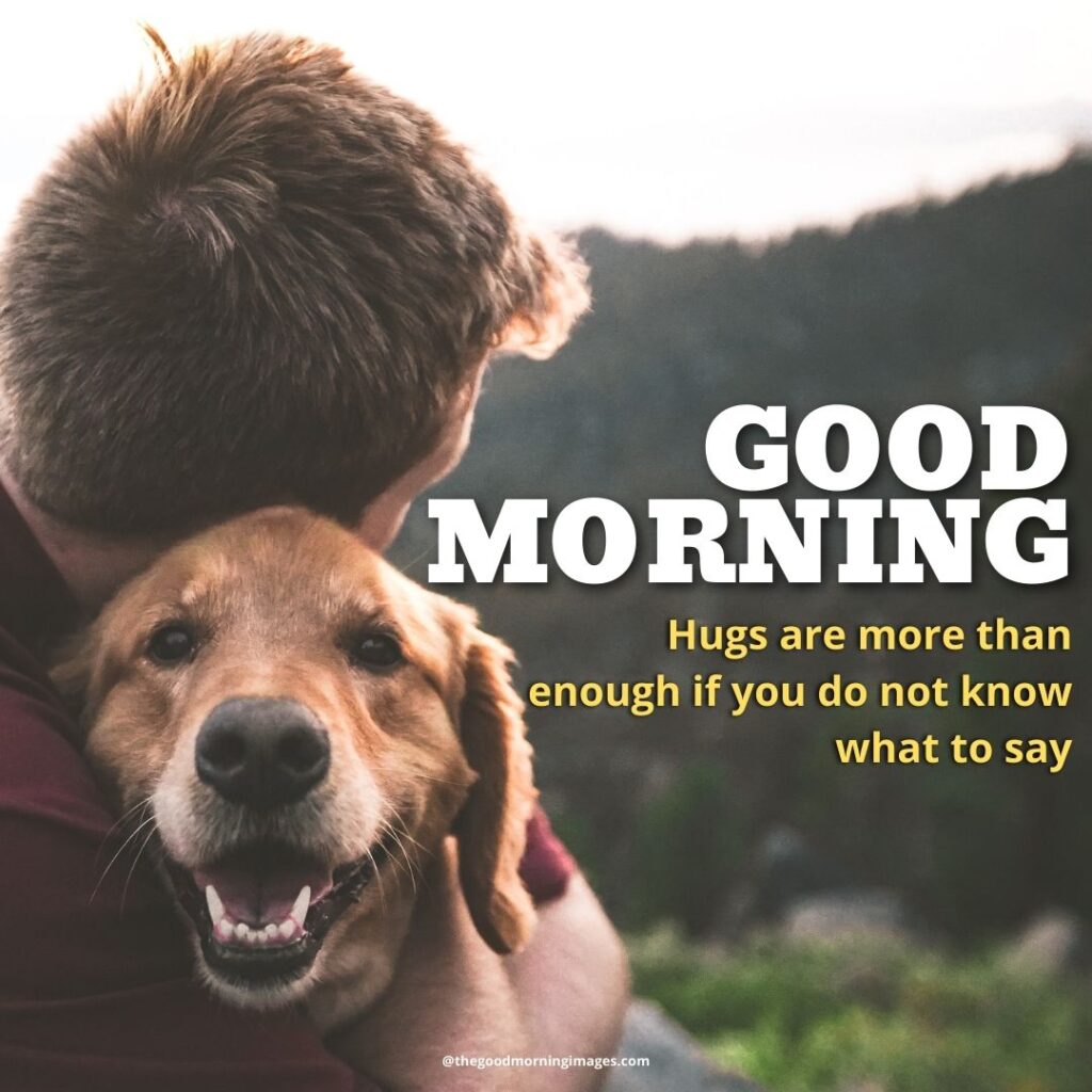 good morning Hug images dogs