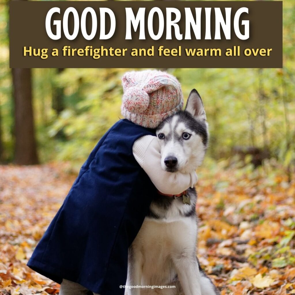 good morning Hug images pets