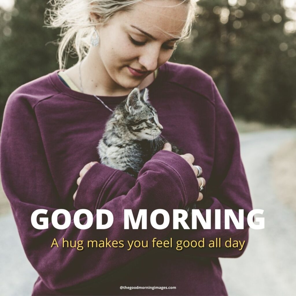 good morning Hug images cats