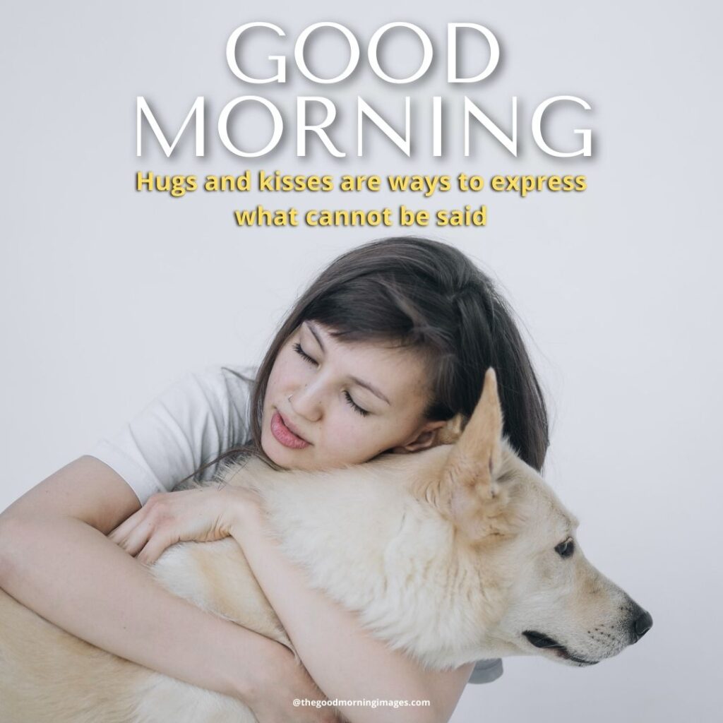 good morning Hug images pet
