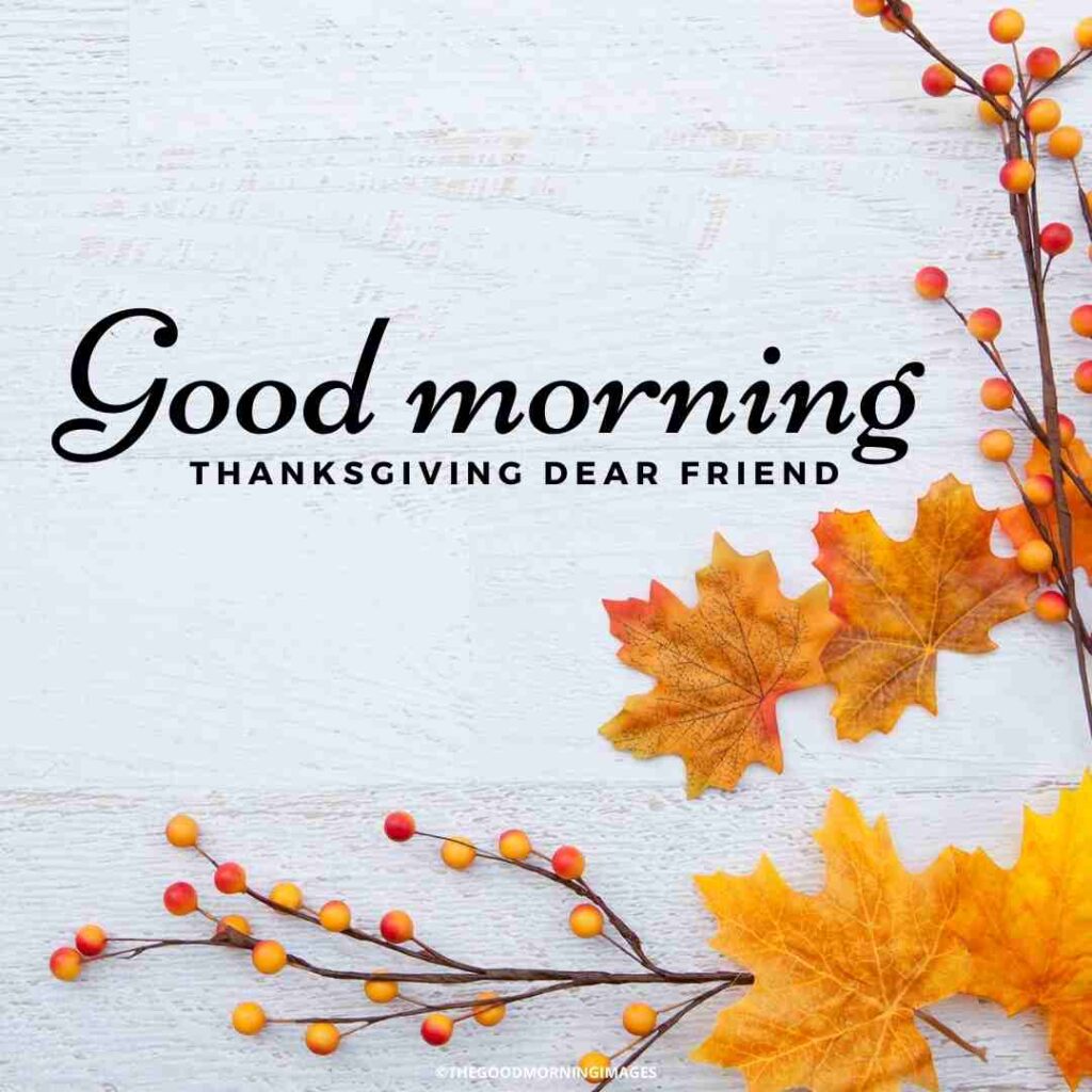 good morning thanksgiving friend images