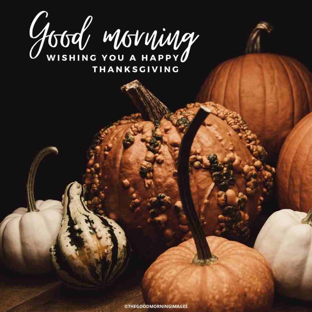 happy morning thanksgiving images