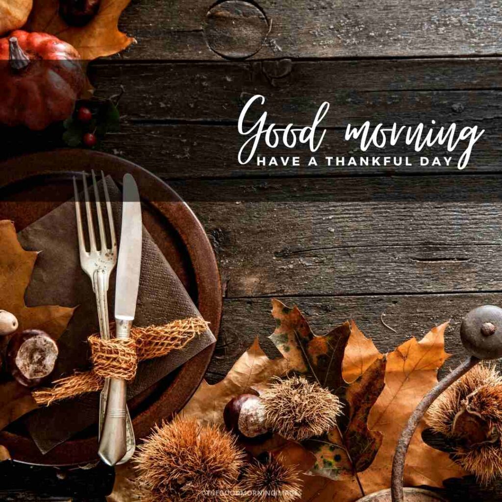 good morning thanksgiving wishes