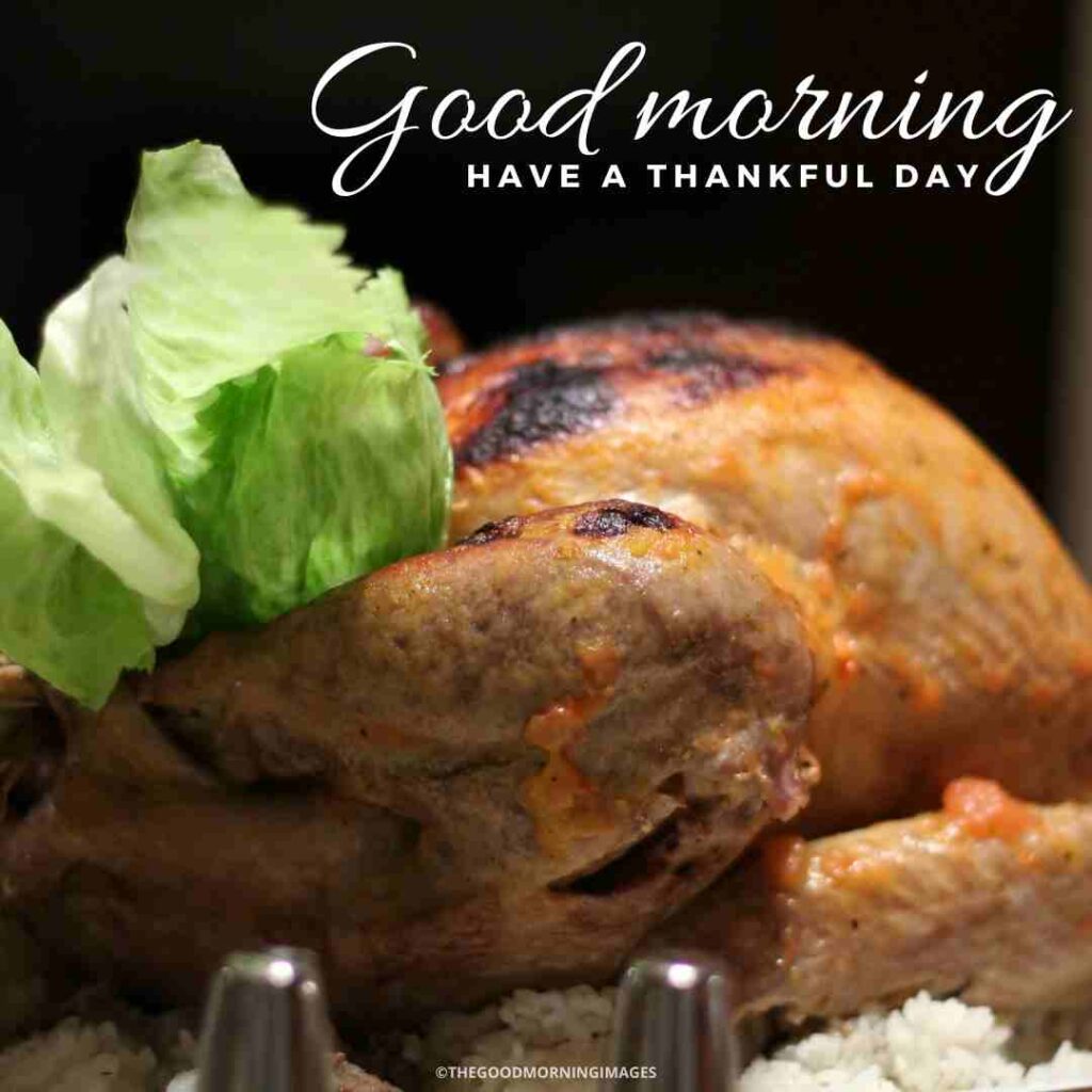 good morning thanksgiving wishes