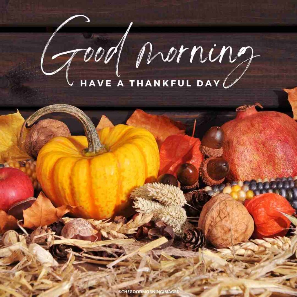 good morning thanksgiving quotes