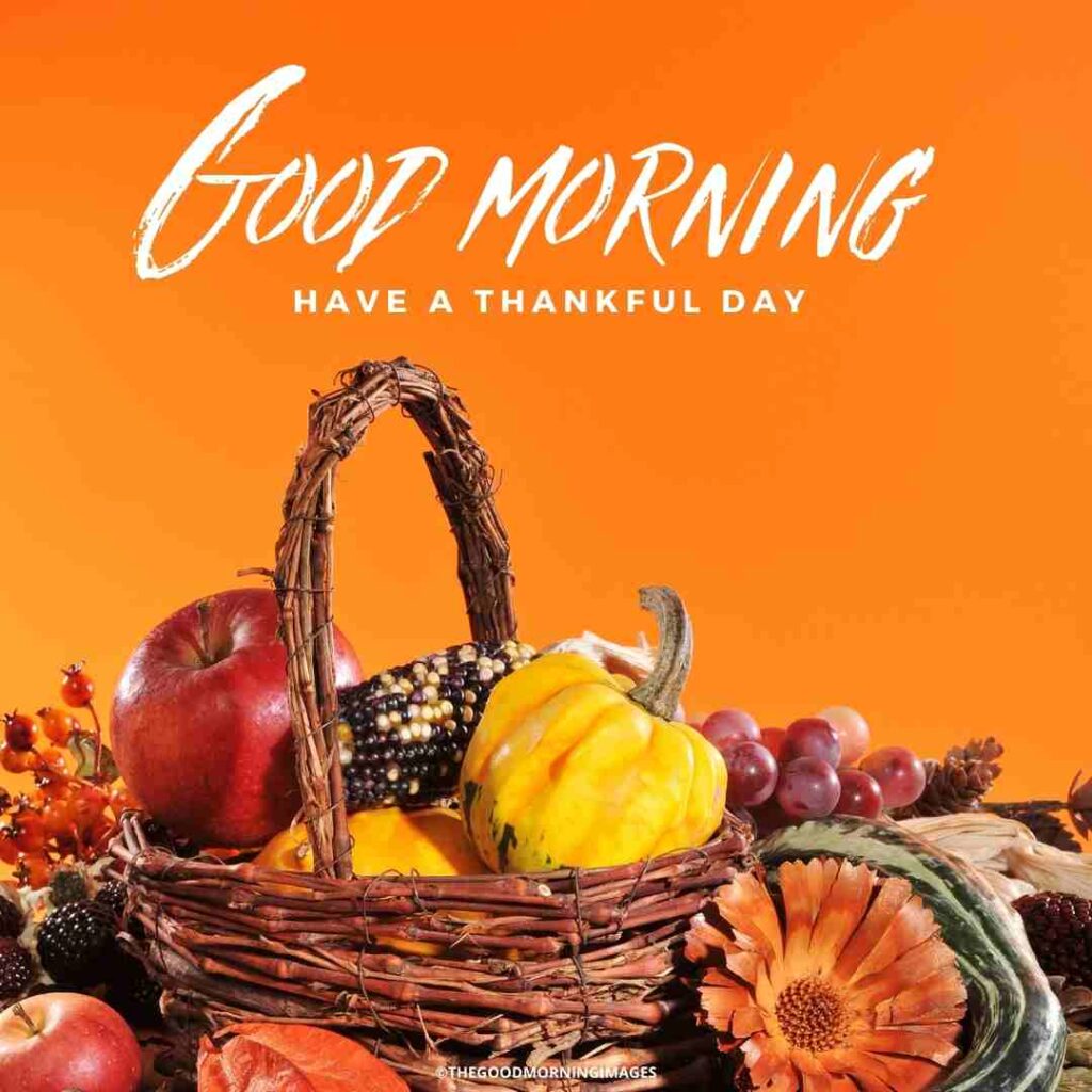 good morning thanksgiving quotes