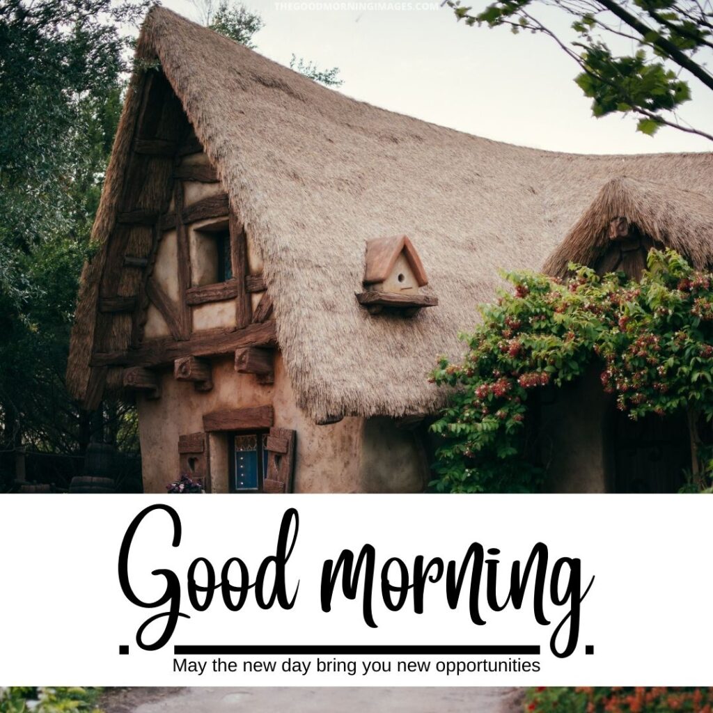 good morning village photos