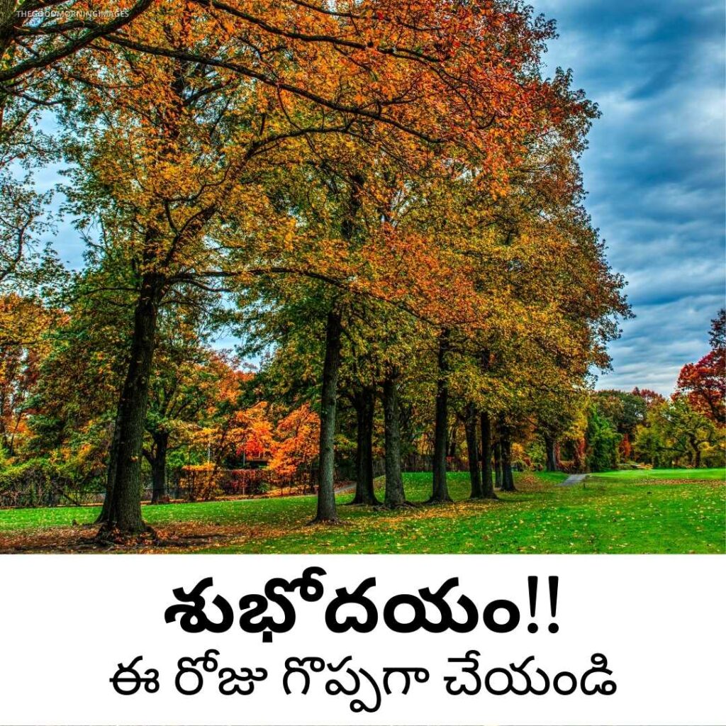 Good morning in Telugu language