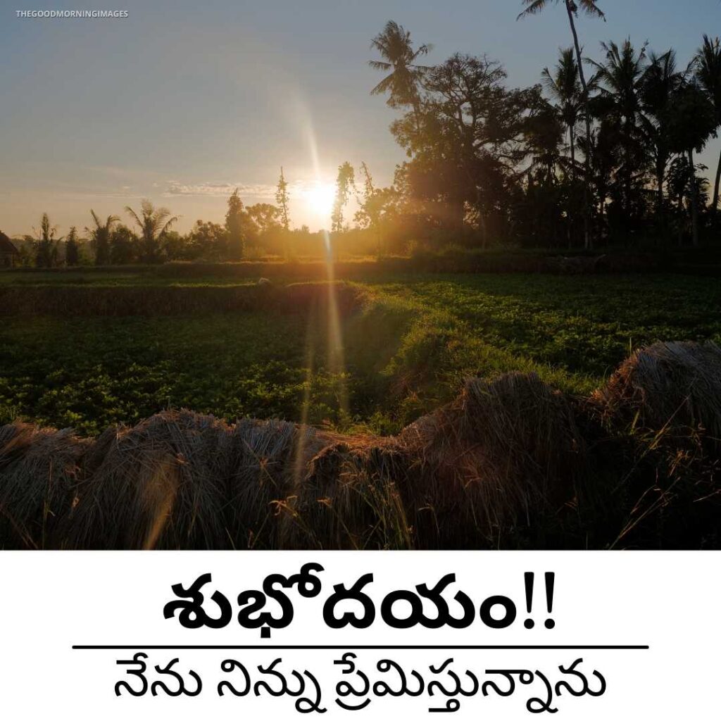 good morning Telugu pictures