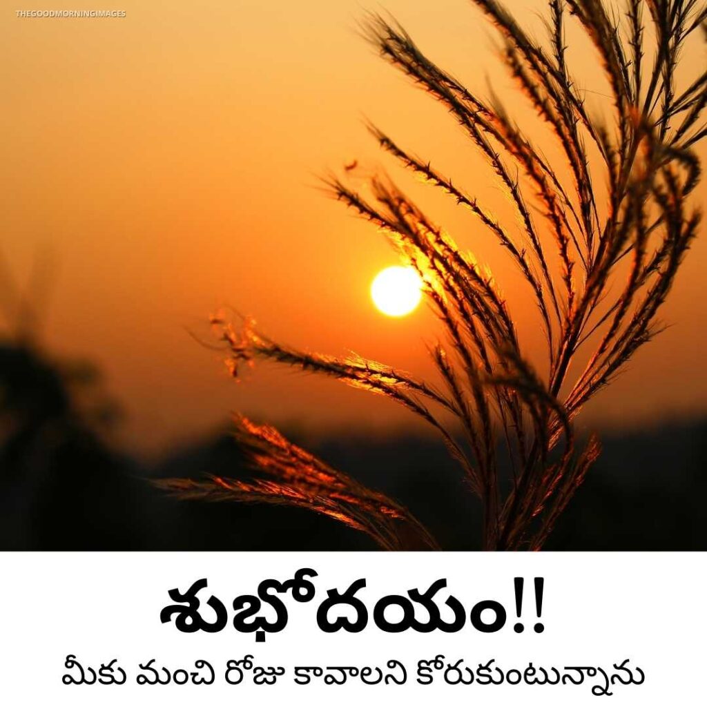 good morning Telugu pictures