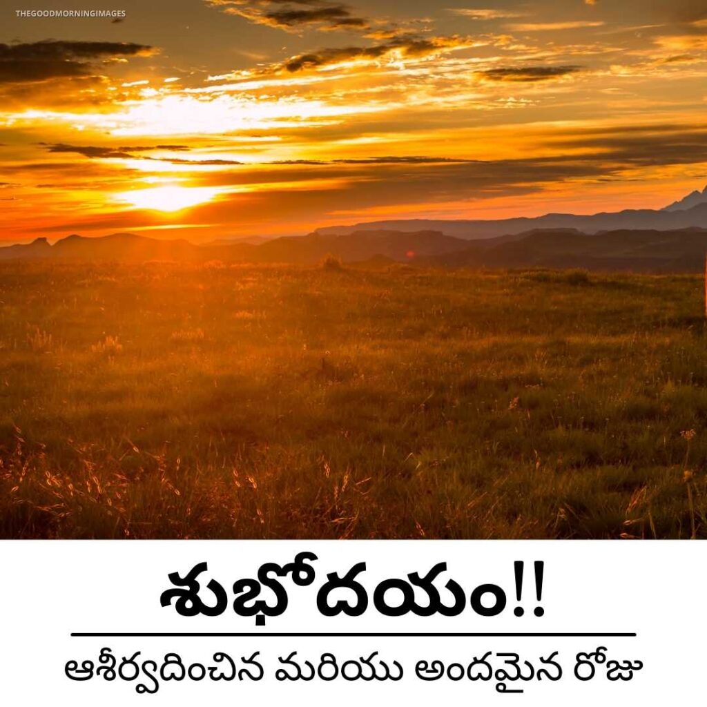 good morning Telugu wishes