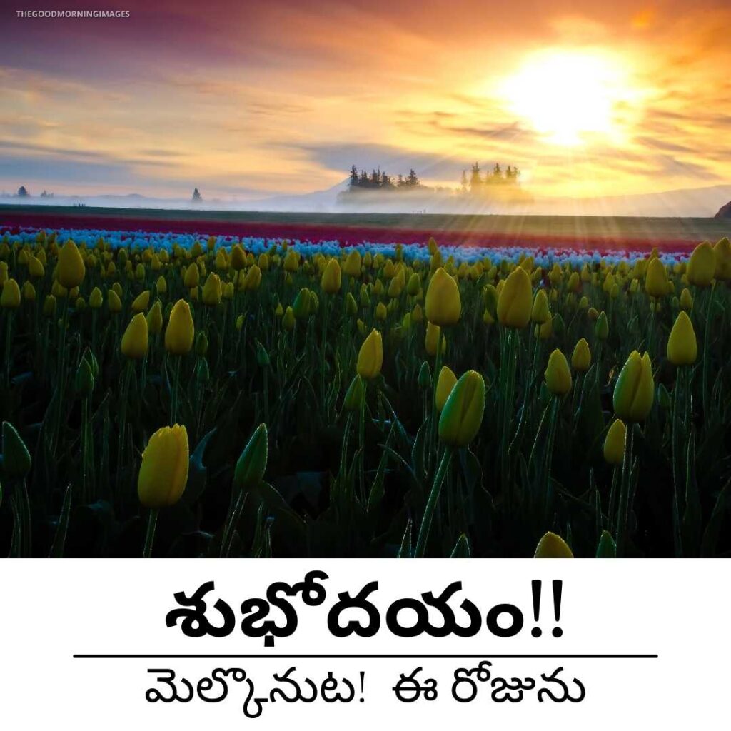 good morning telugu images