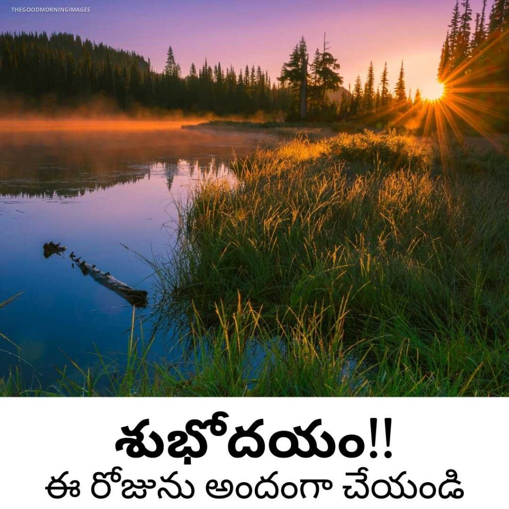 Heart touching good Morning Quotes in Telugu