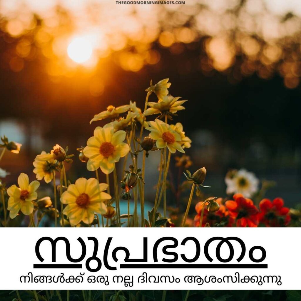 Good Morning Malayalam photos