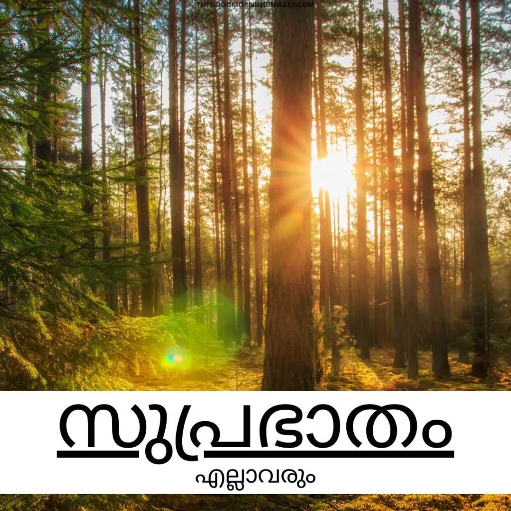 Good Morning Malayalam sun