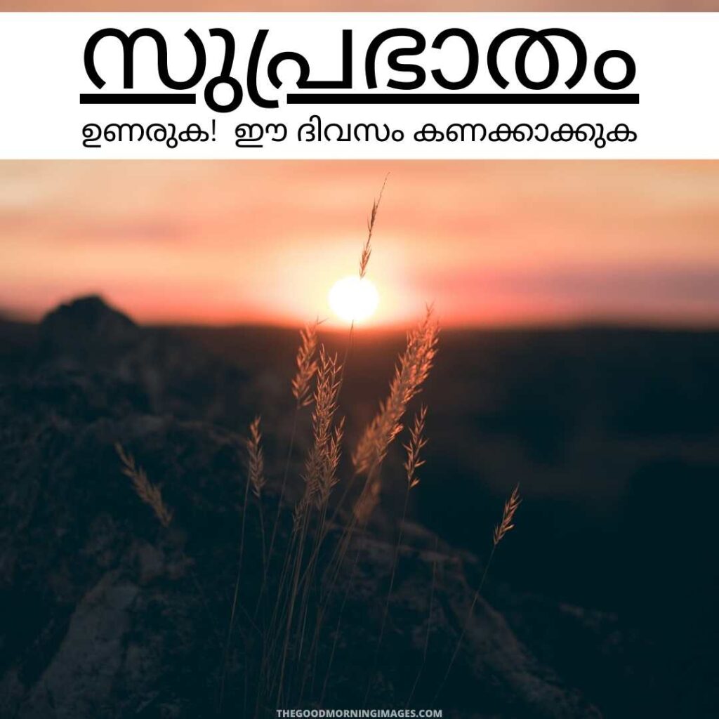 good morning photos with malayalam messages