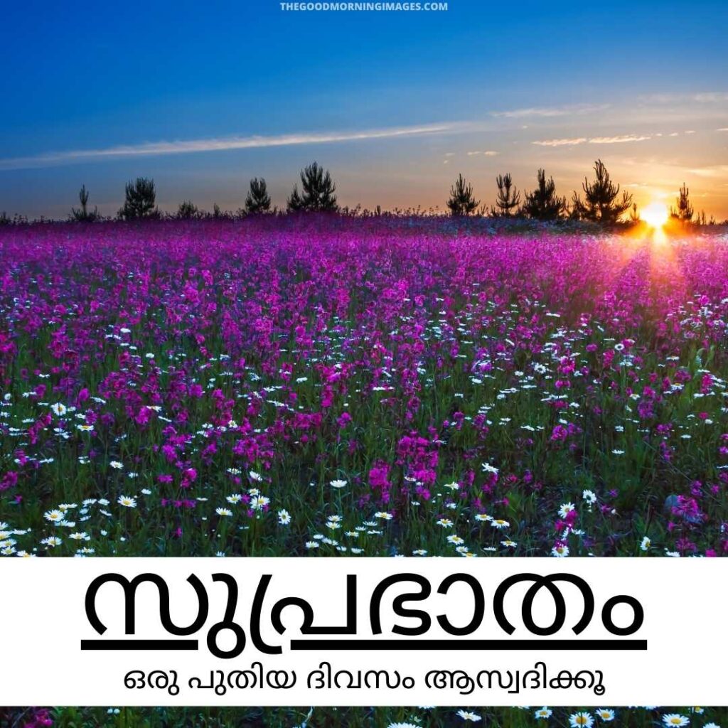 Good Morning Wishes in Malayalam Images