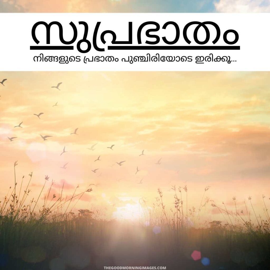 good morning photos with malayalam messages