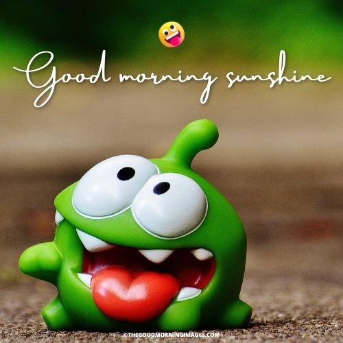 Good Morning Sunshine meme frog