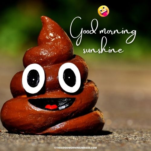 Good Morning Sunshine meme pop