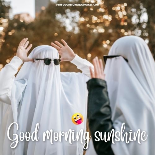 Good Morning Sunshine meme fun